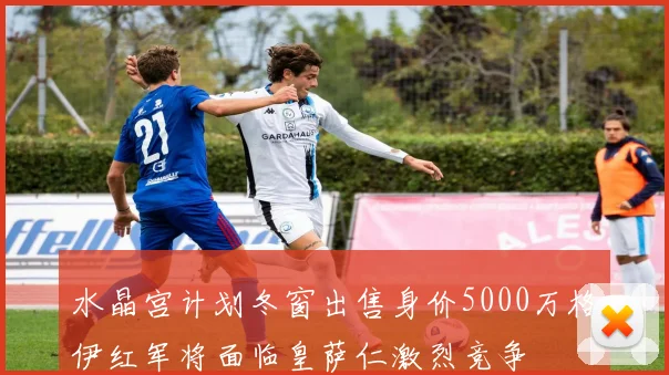 水晶宫计划冬窗出售身价5000万格伊红军将面临皇萨仁激烈竞争