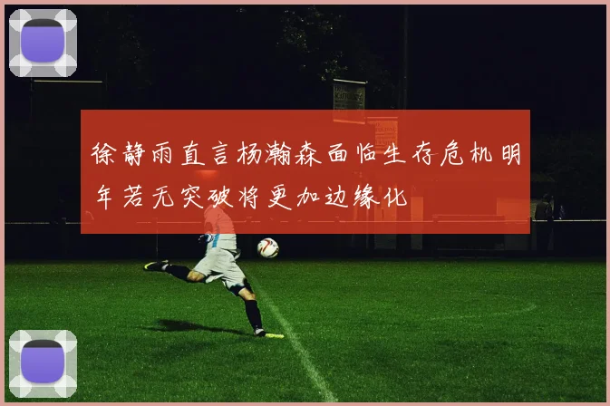 徐静雨直言杨瀚森面临生存危机明年若无突破将更加边缘化