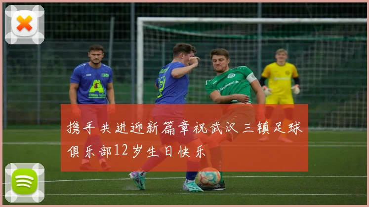 携手共进迎新篇章祝武汉三镇足球俱乐部12岁生日快乐