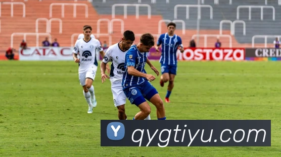 奇异果体育品牌故事