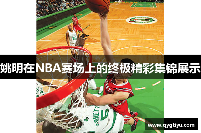 姚明在NBA赛场上的终极精彩集锦展示